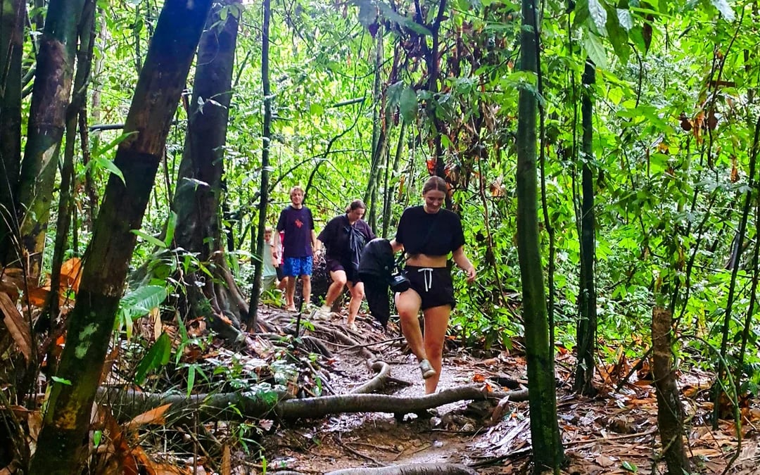 From Phuket: Cheow Lan Lake Day Trip with Long-Tail Boat, Diamond Cave & Kayaking Image 3