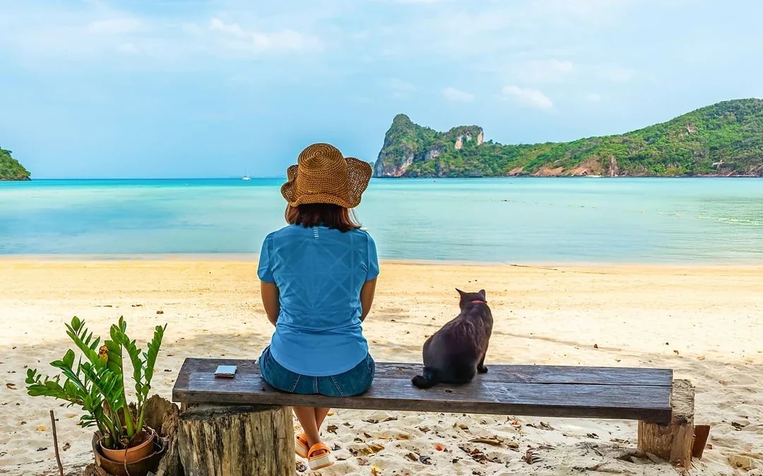 From Phuket: Khai Islands Tour by Speedboat Image 7