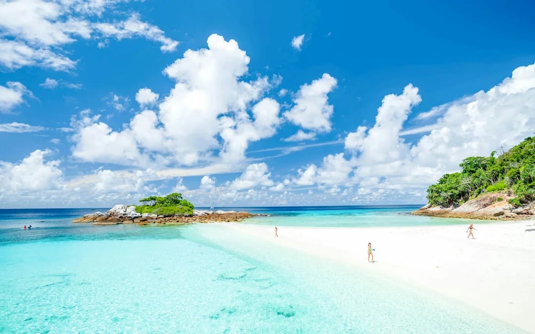 From Phuket or Khao Lak: Racha Islands Speedboat Tour with Snorkeling & Lunch Image 3