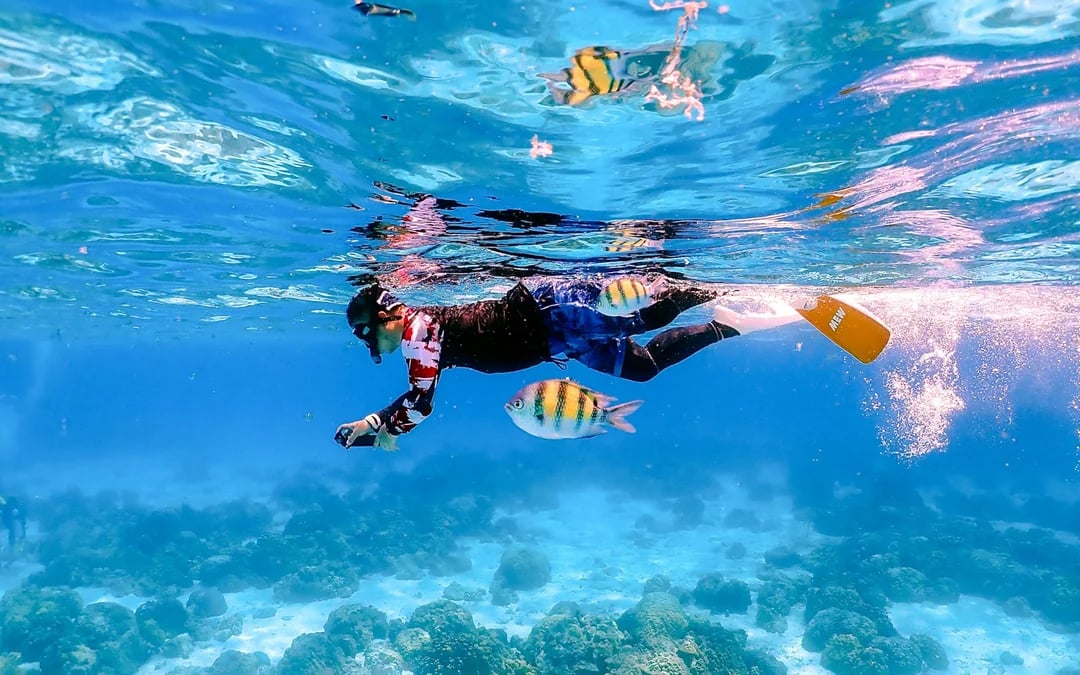 From Phuket or Khao Lak: Racha Islands Speedboat Tour with Snorkeling & Lunch Image 9