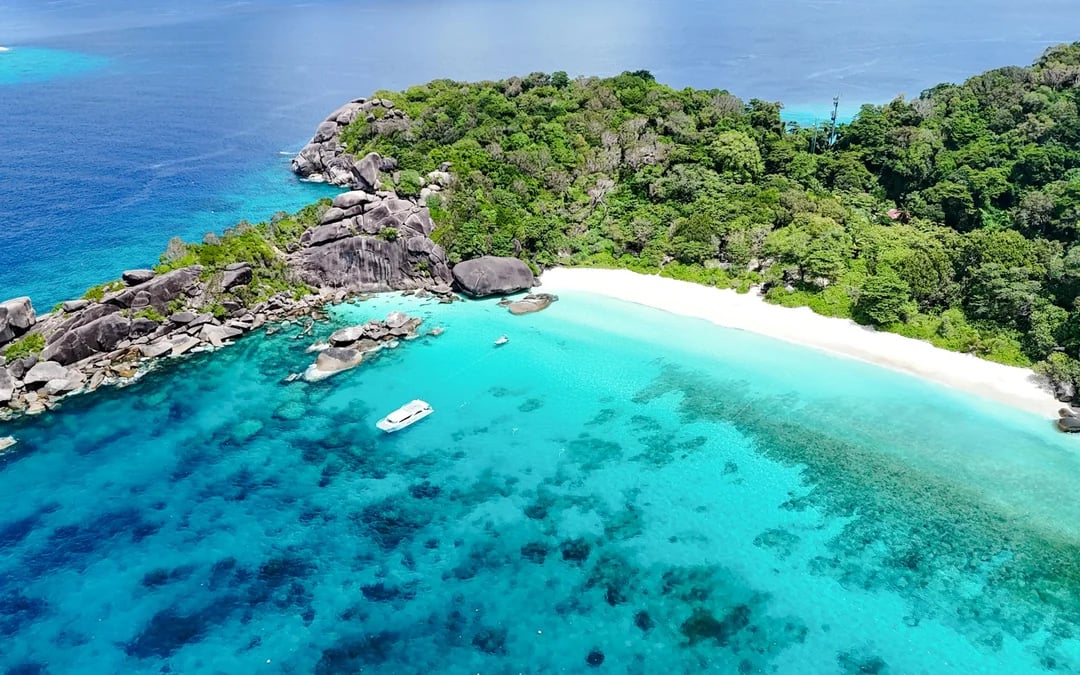 From Phuket or Khao Lak: Similan Islands Snorkeling Day Trip with Transfers & Meals Image 5