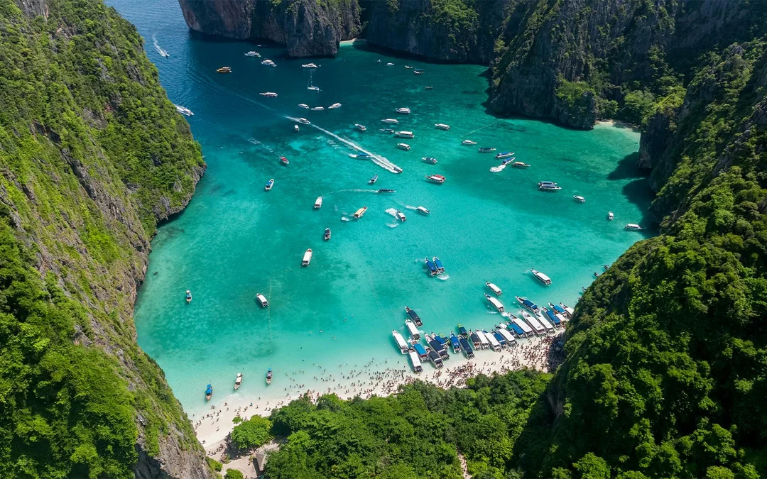 From Phuket: Phi Phi Island & Maya Bay Tour by Catamaran with Lunch & Hotel Transfers Image 3