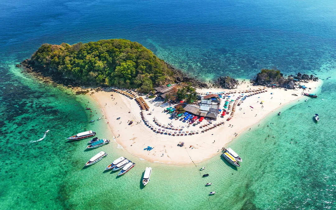From Phuket: Phi Phi Island & Maya Bay Tour by Speedboat with Lunch & Hotel Transfers Image 4