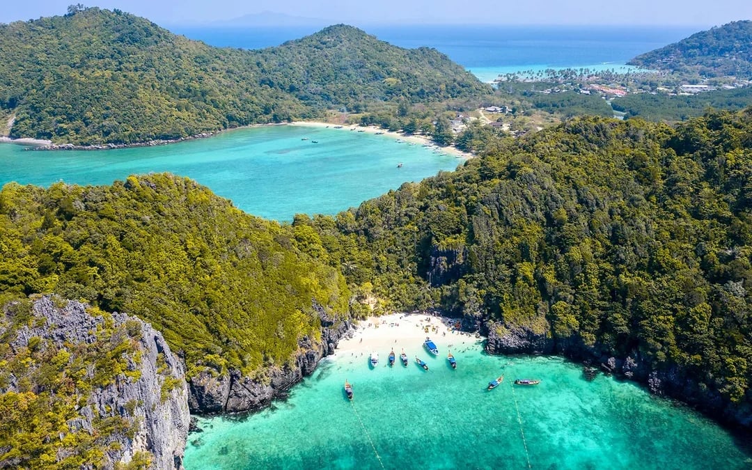 From Phuket: Phi Phi Island & Maya Bay Tour by Speedboat with Lunch & Hotel Transfers Image 6