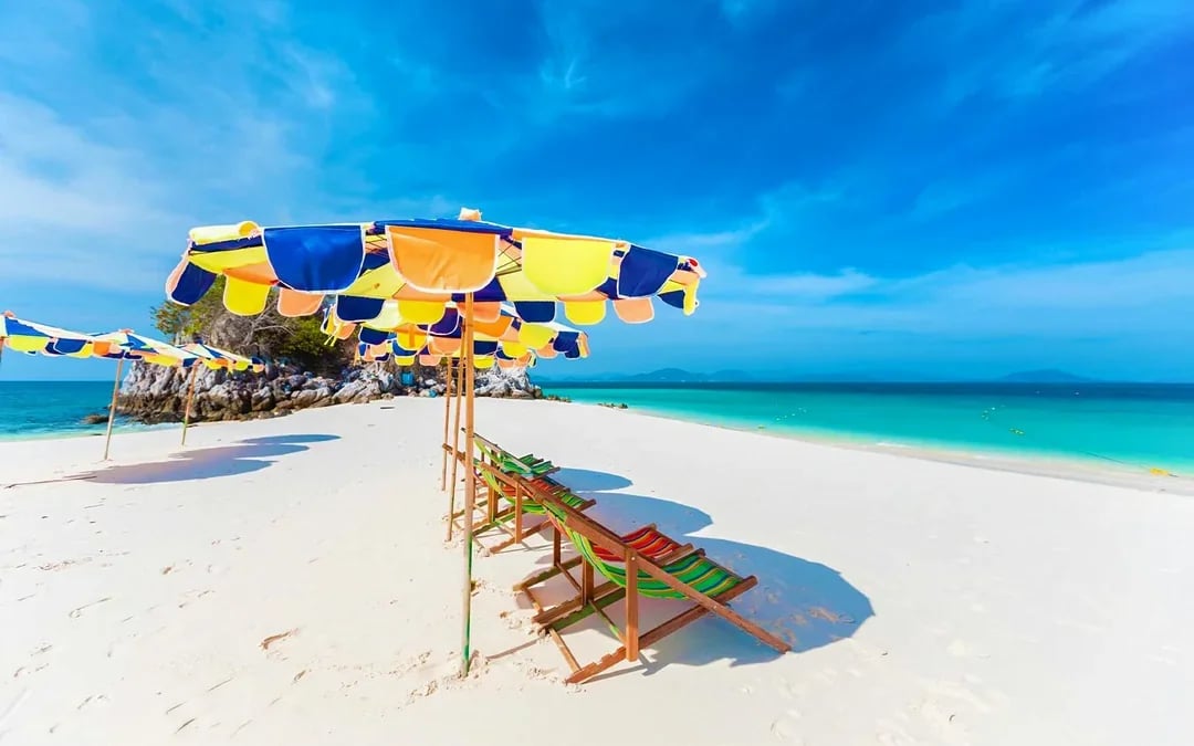 From Phuket: Phi Phi Island & Maya Bay Tour by Speedboat with Lunch & Hotel Transfers Image 9
