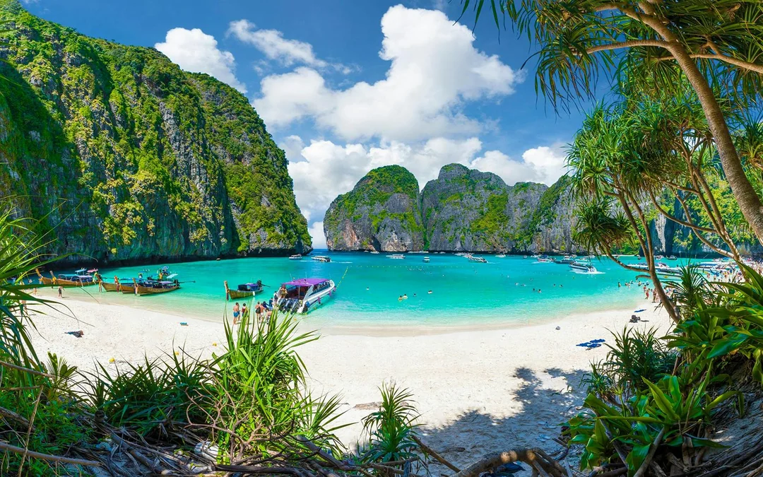 From Phuket: Phi Phi Island, Maya Bay & Bamboo Island Tour by Speedboat with Lunch & Optional Transfers Image 2