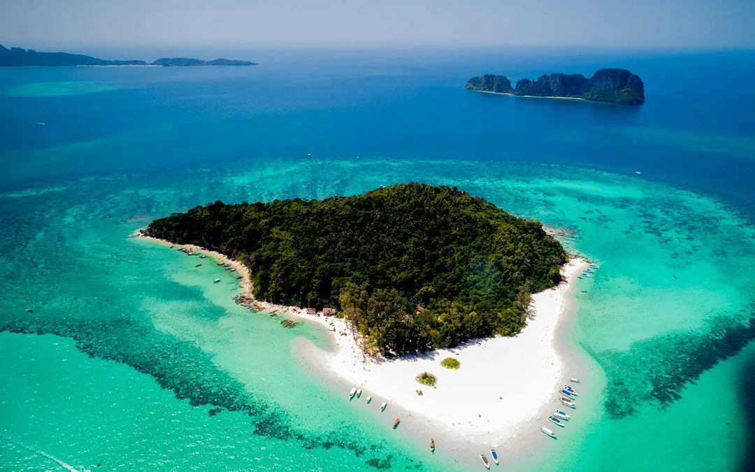 From Phuket: Phi Phi Island, Maya Bay & Bamboo Island Tour by Speedboat with Lunch & Optional Transfers Image 4