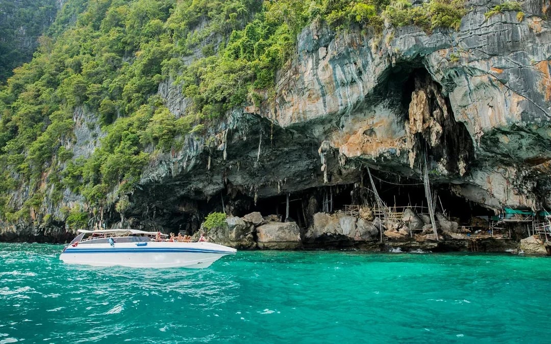 From Phuket: Phi Phi Island, Maya Bay & Bamboo Island Tour by Speedboat with Lunch & Optional Transfers Image 10