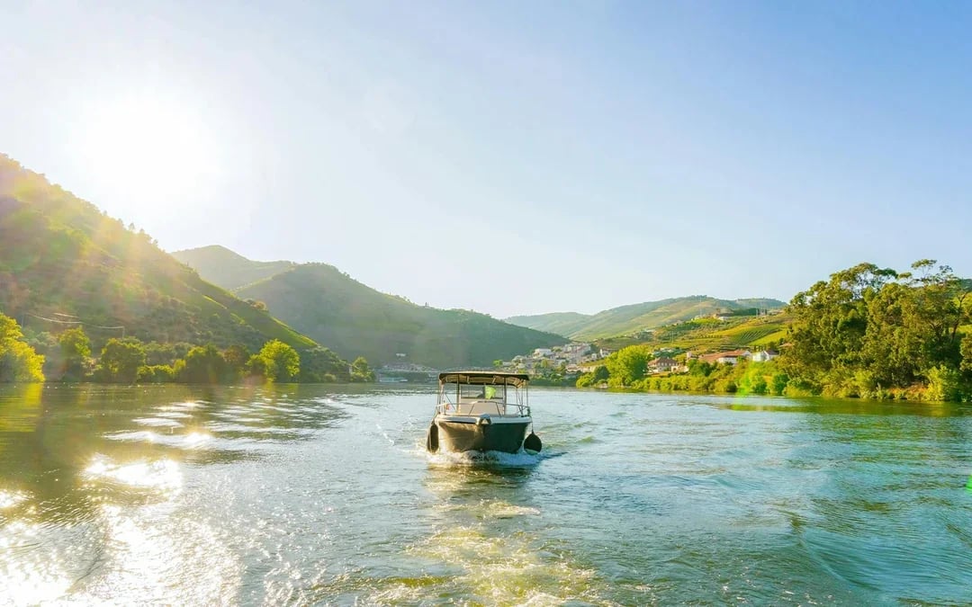From Pinhão: Douro Valley Boat Tour with Wine Tasting and Lunch Image 1