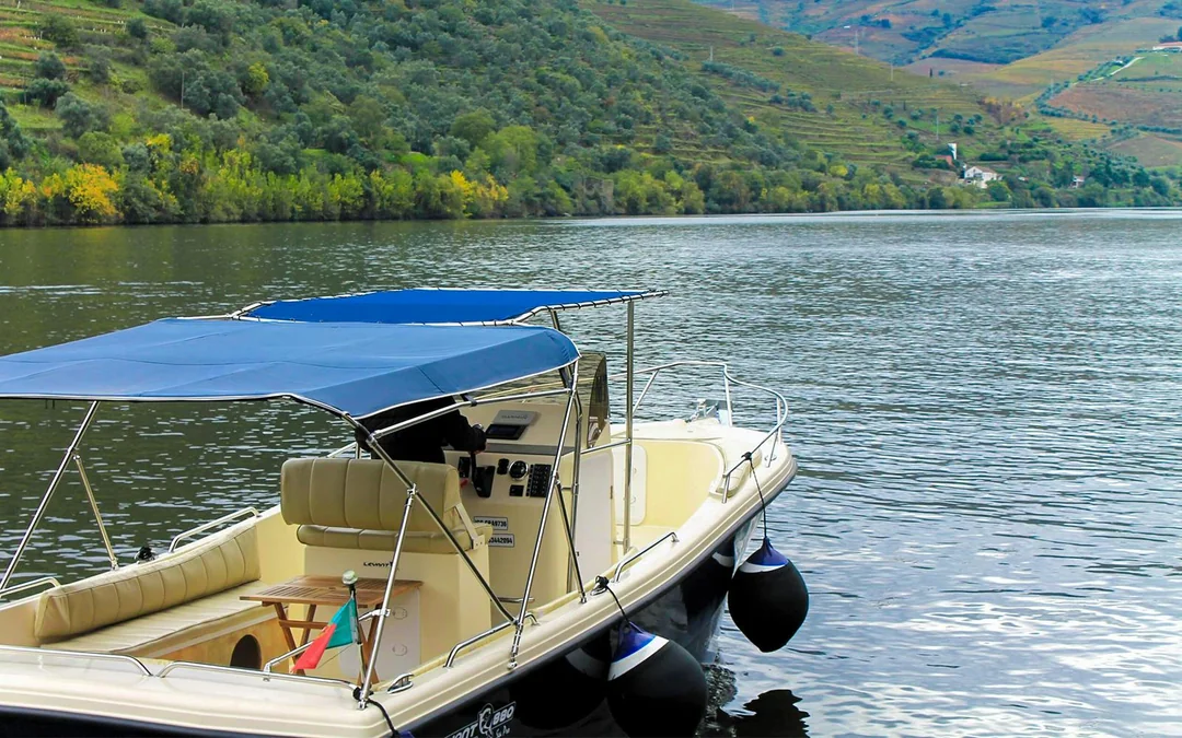 From Pinhão: Douro Valley Boat Tour with Wine Tasting and Lunch Image 12