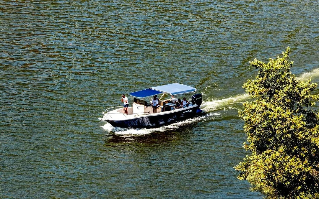 From Pinhão: Douro Valley Boat Tour with Wine Tasting and Lunch Image 6