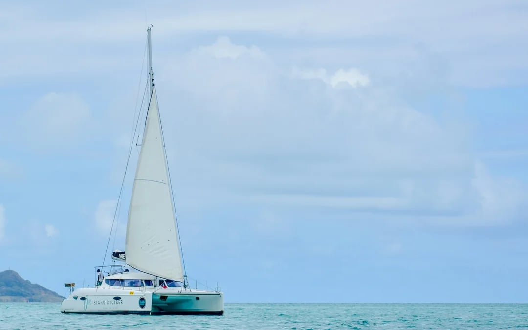 From Pointe Jerome: Île aux Cerfs Catamaran Cruise with Lunch and Hotel Transfers Image 1