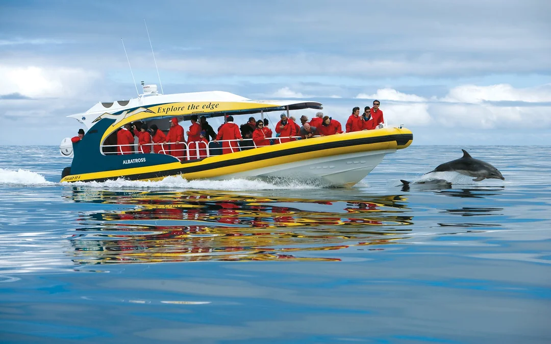 From Port Arthur: Tasman Island 3-Hour Wilderness Cruise
Image 1