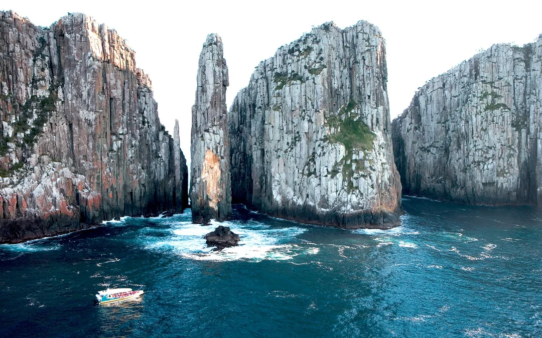From Port Arthur: Tasman Island 3-Hour Wilderness Cruise
Image 3