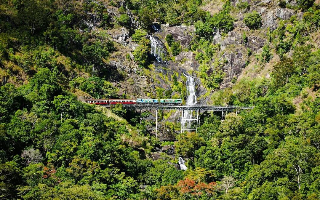 From Port Douglas: Scenic Train & Coach Guided Tour with Transfers Image 1