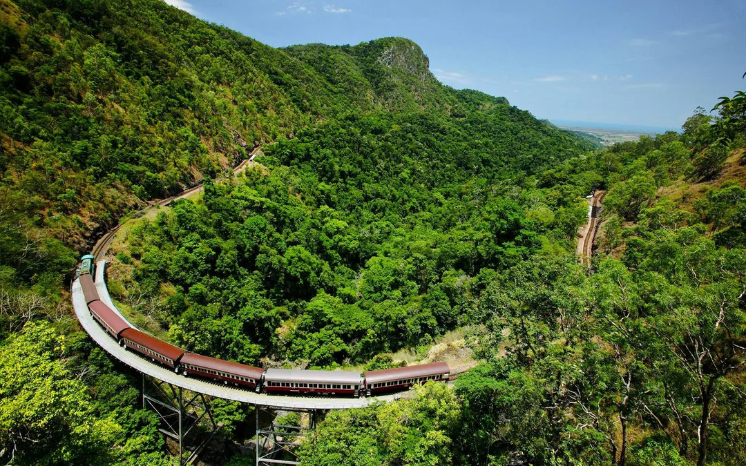 From Port Douglas: Scenic Train & Coach Guided Tour with Transfers Image 3