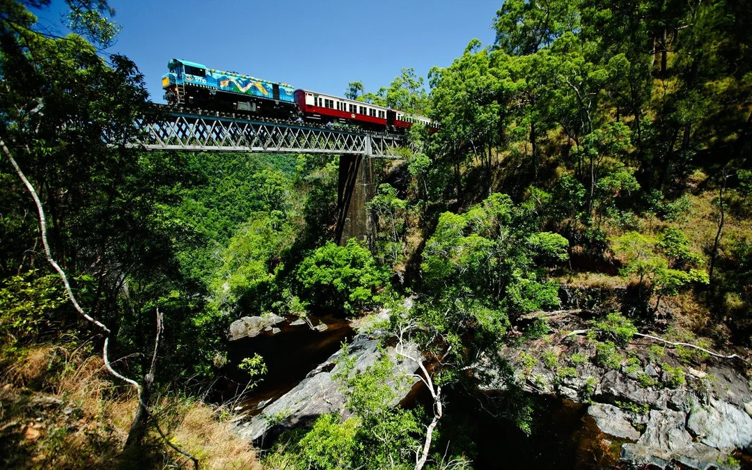From Port Douglas: Scenic Train & Coach Guided Tour with Transfers Image 7