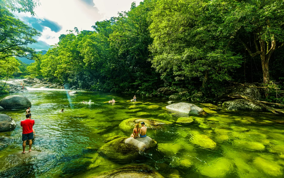 From Port Douglas: Small Group Half Day Tour of Daintree & Mossman Gorge with River Cruise & Picnic Lunch
Image 2