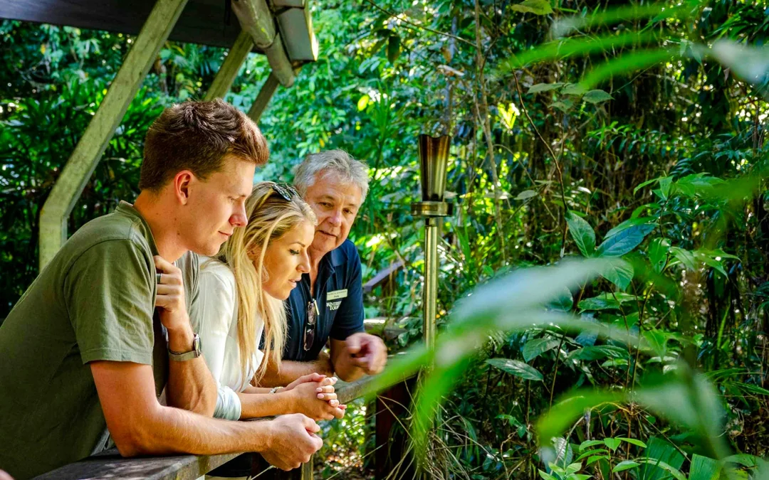 From Port Douglas: Small Group Half Day Tour of Daintree & Mossman Gorge with River Cruise & Picnic Lunch
Image 3