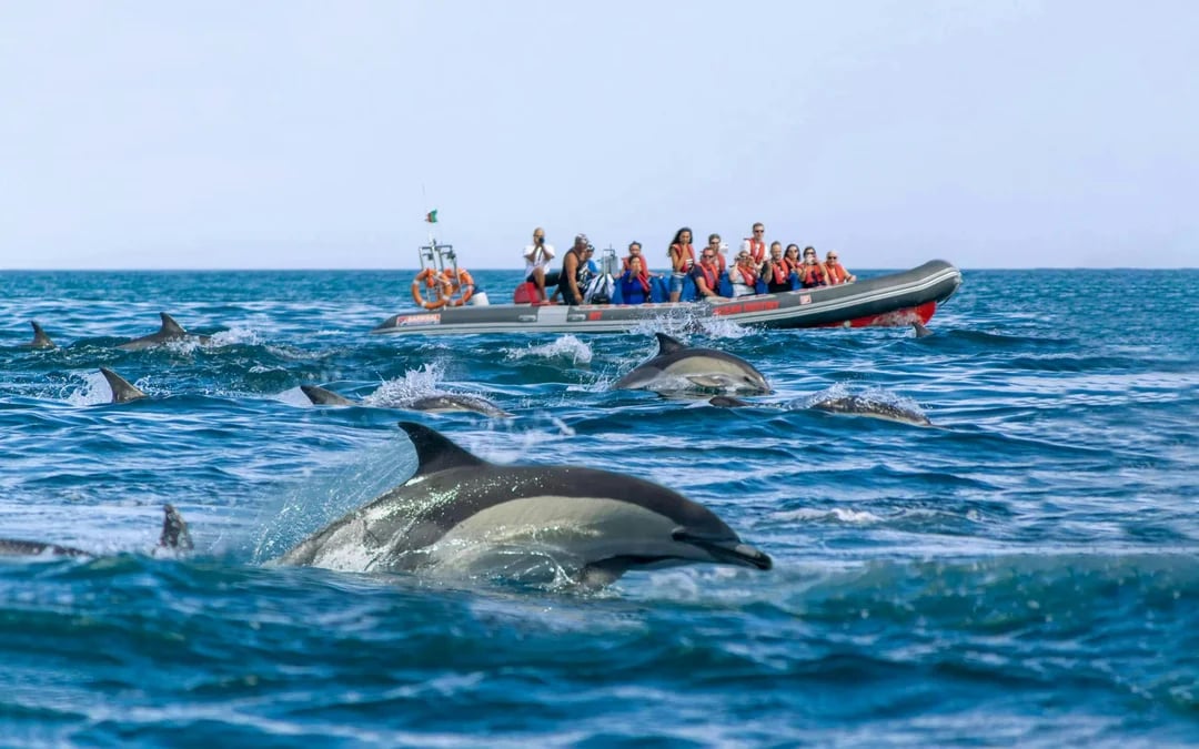 From Portimao: Benagil Cave & Dolphin Watching Boat Tour Image 1