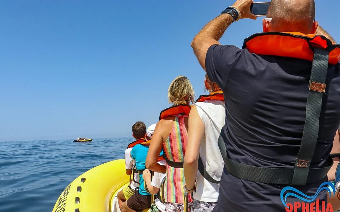 From Portimao: Benagil Cave & Dolphin Watching Boat Tour Image 12