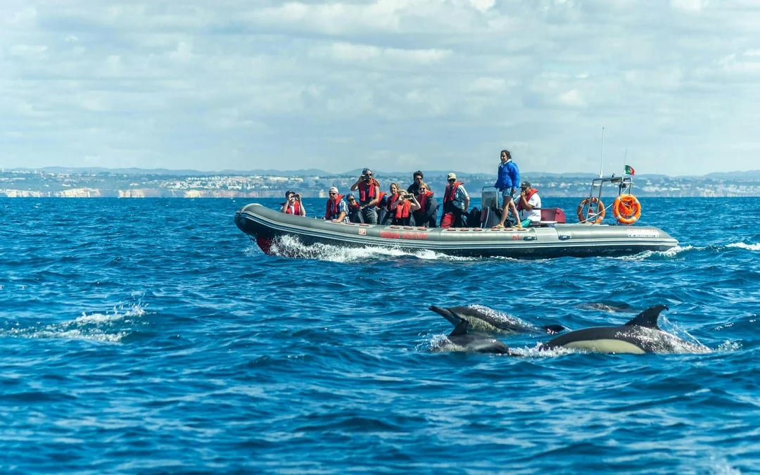 From Portimao: Benagil Cave & Dolphin Watching Boat Tour Image 8