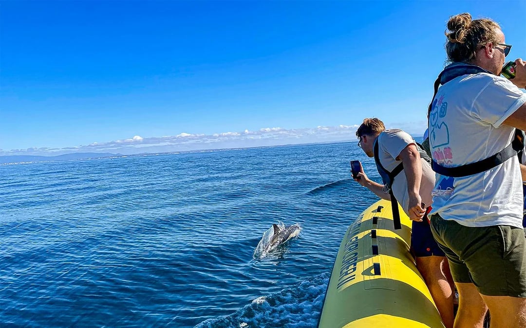 From Portimao: Benagil Cave & Dolphin Watching Boat Tour Image 10