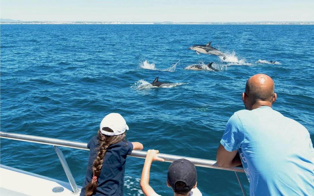 From Portimao: Benagil Cave Catamaran Cruise & Dolphin Watching Image 3