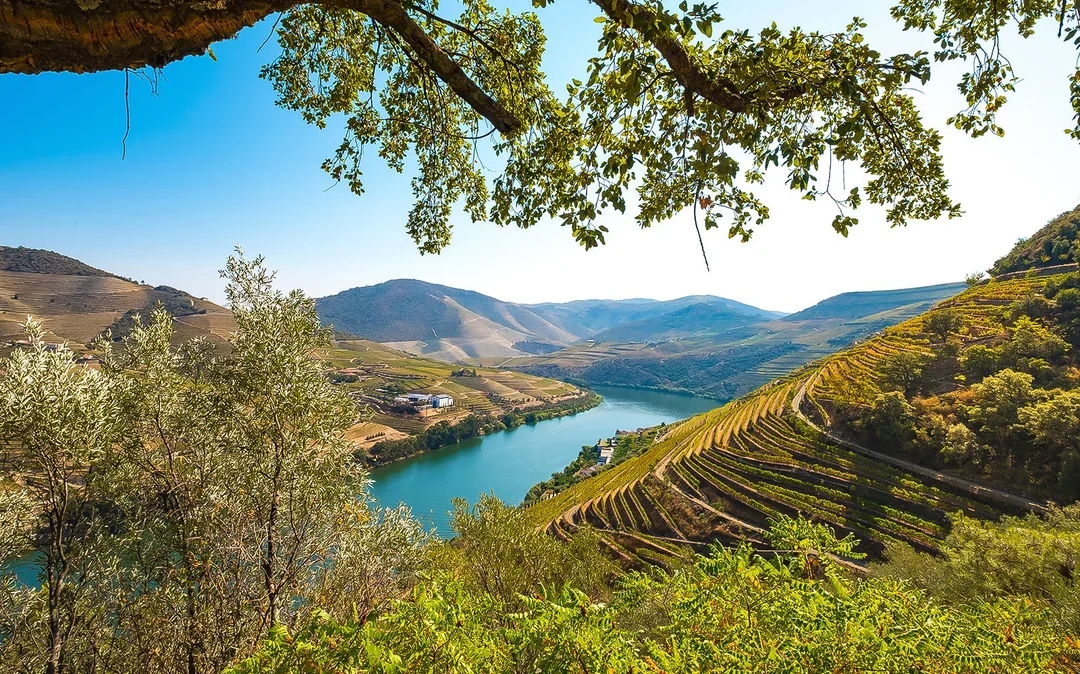 From Porto: Douro Valley Full-Day Trip with Régua Cruise and Lunch Image 4
