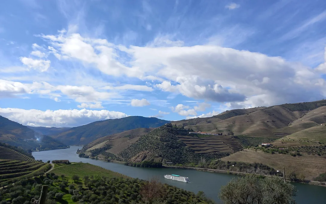 From Porto: Douro Valley Full-Day Trip with Régua Cruise and Lunch Image 5