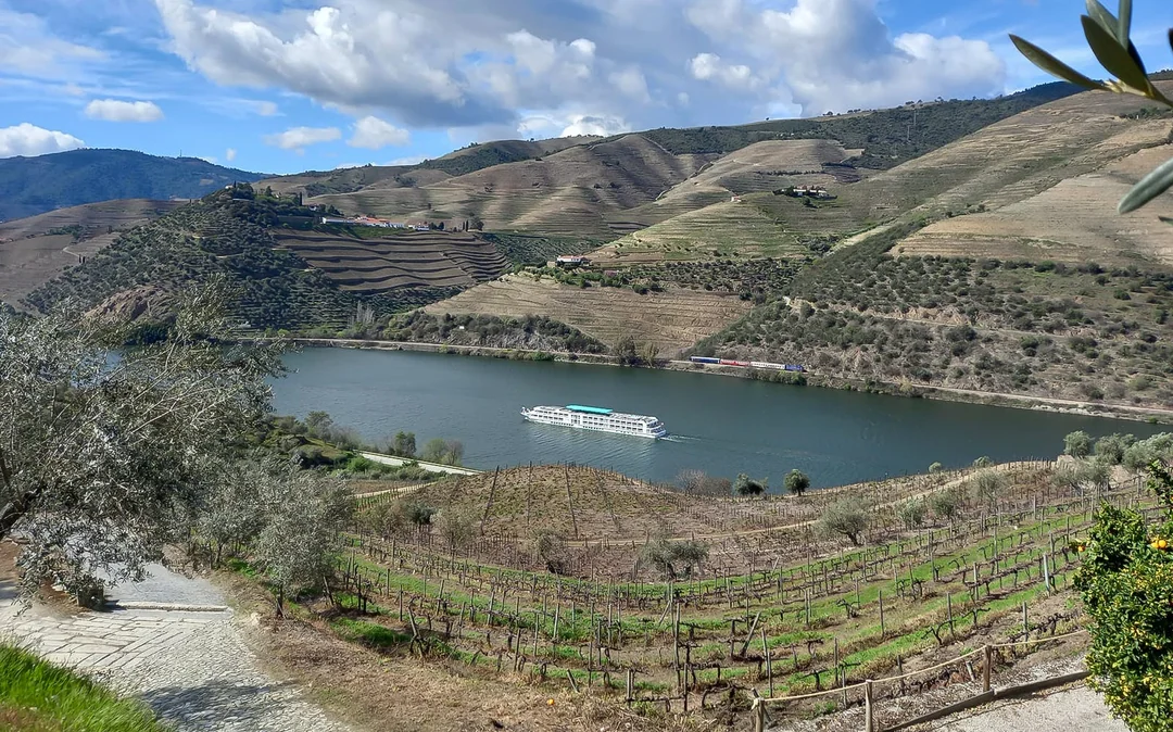 From Porto: Douro Valley Full-Day Trip with Régua Cruise and Lunch Image 7