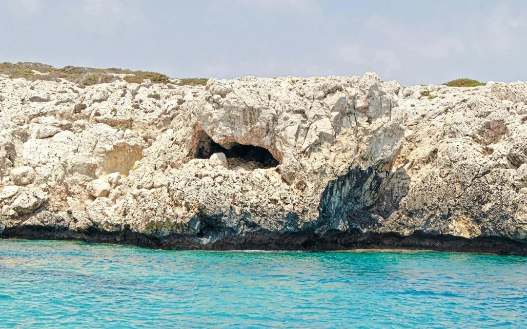 From Protaras: Blue Lagoon Cruise to Sea Caves & Turtle Cove Image 10