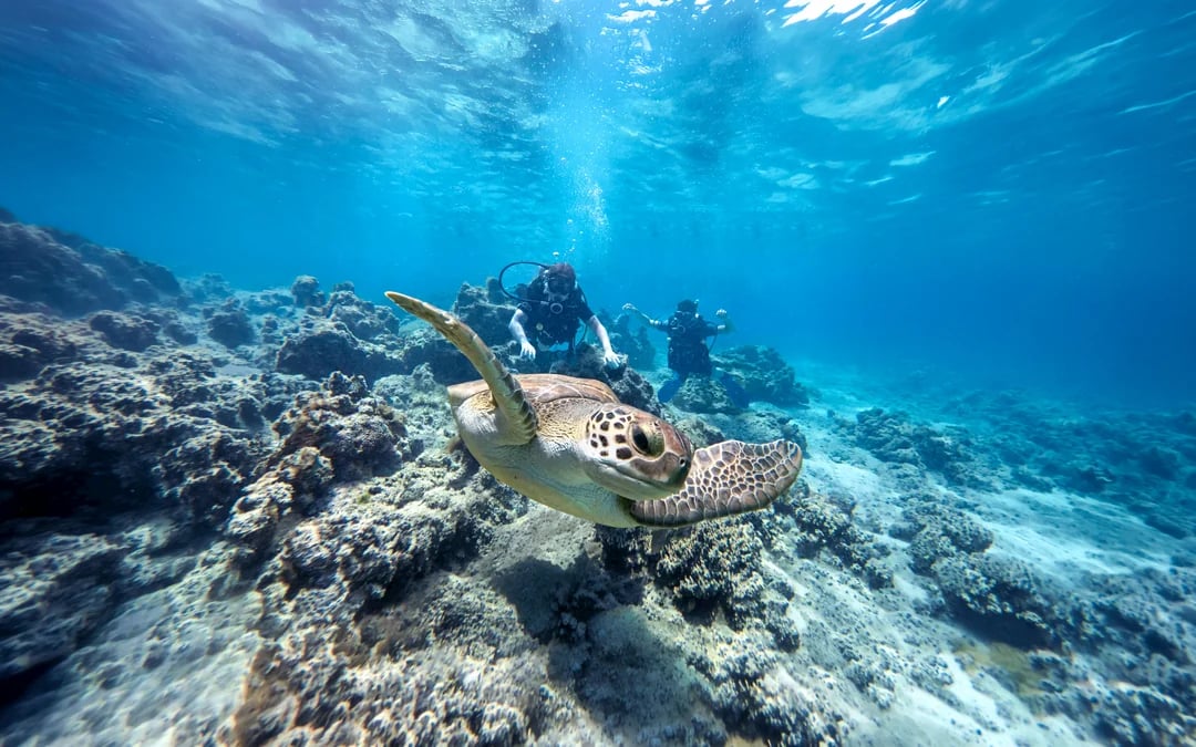 From Protaras: Private Beginner Scuba Diving Experience Image 3