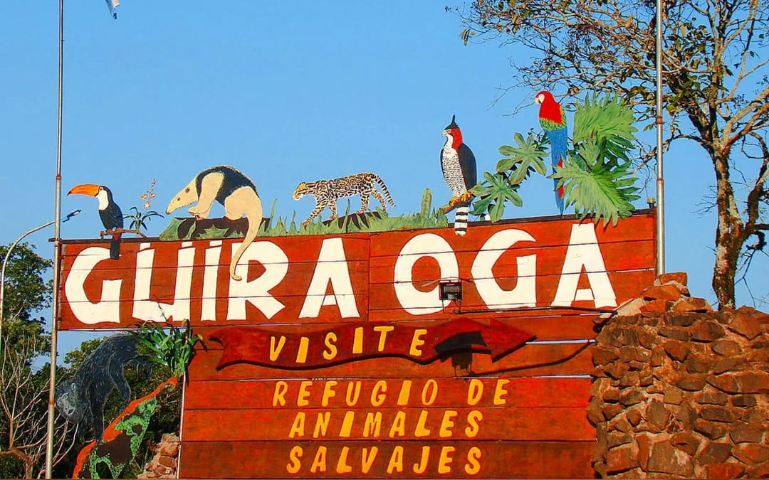 From Puerto Iguazú: Private Güirá Oga Wild Animals Shelter Day Trip Image 2