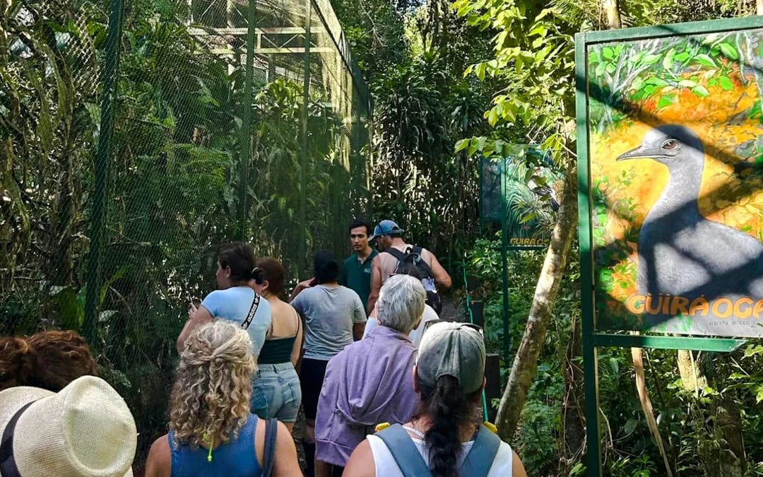 From Puerto Iguazú: Private Güirá Oga Wild Animals Shelter Day Trip Image 5