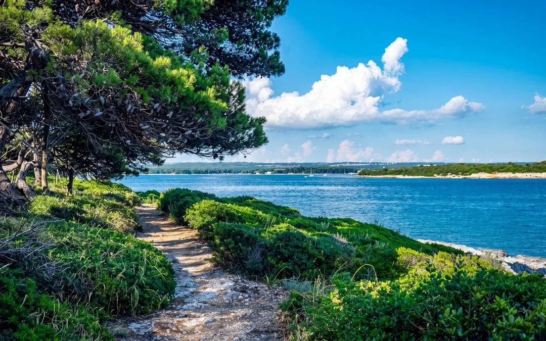 From Pula: Brijuni National Park with Swimming Stops, Lunch and Drinks Image 2