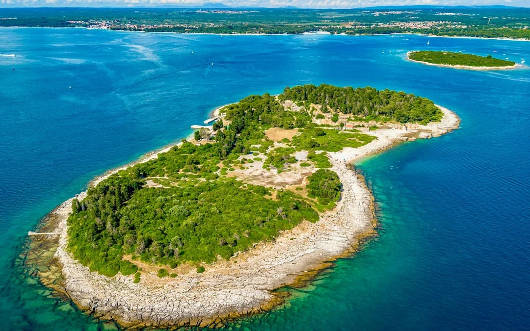 From Pula: Brijuni National Park with Swimming Stops, Lunch and Drinks Image 3