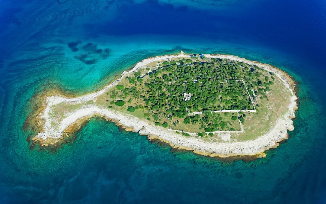 From Pula: Small-Group Brijuni Islands Sailing Adventure with Snorkeling, SUP and Cliff Jumping Image 10