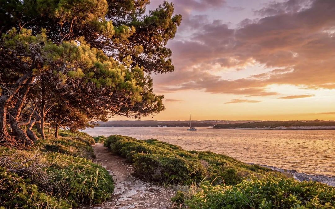 From Pula: Sunset and Dolphin Cruise around Brijuni Islands with Drinks & Dinner Option  Image 3
