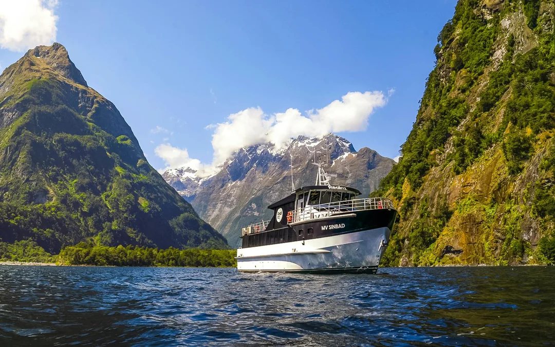From Queenstown: Business Class Milford Sound Tour with Premium Cruise & Gourmet Lunch Image 1