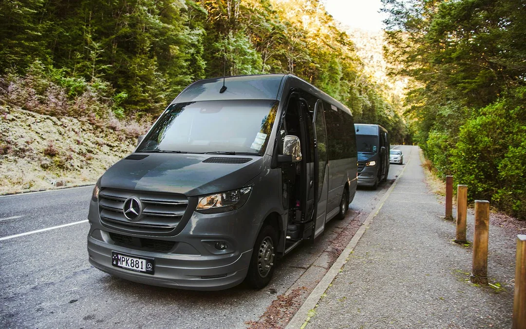 From Queenstown: Business Class Milford Sound Tour with Premium Cruise & Gourmet Lunch Image 2