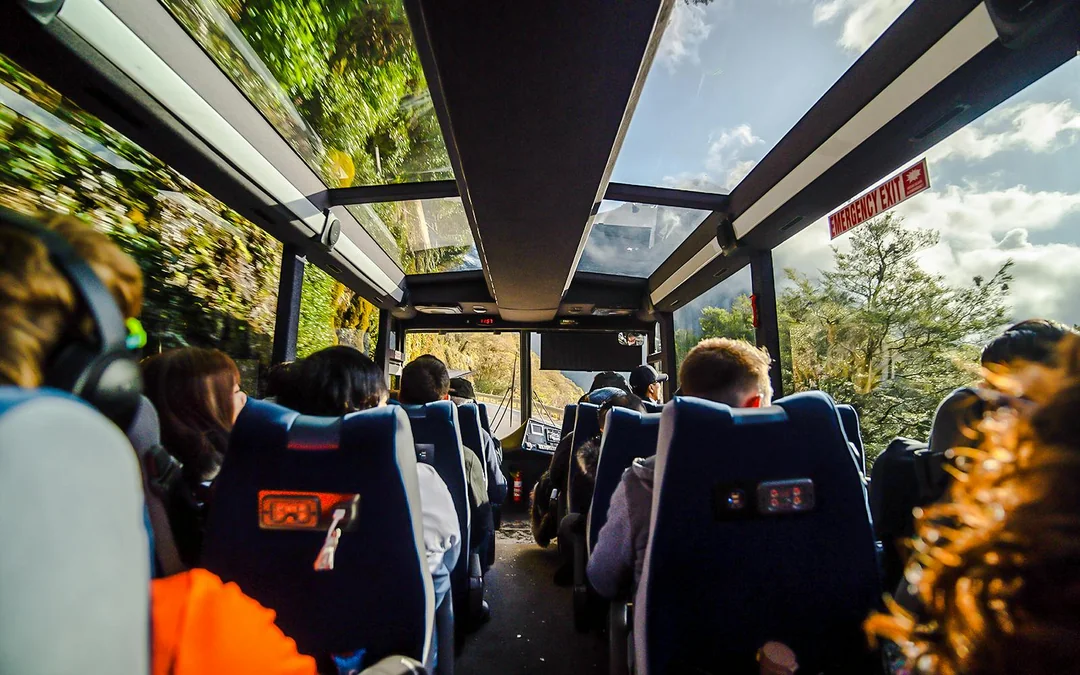 From Queenstown: Business Class Milford Sound Tour with Premium Cruise & Gourmet Lunch Image 3