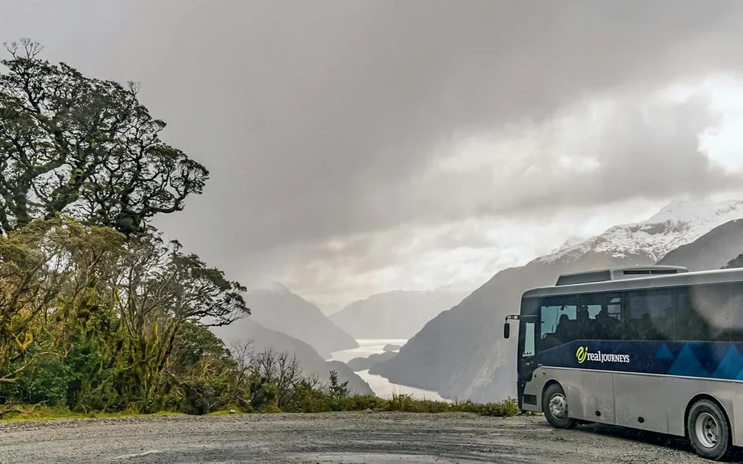 From Queenstown: Doubtful Sound Overnight Cruise Image 7