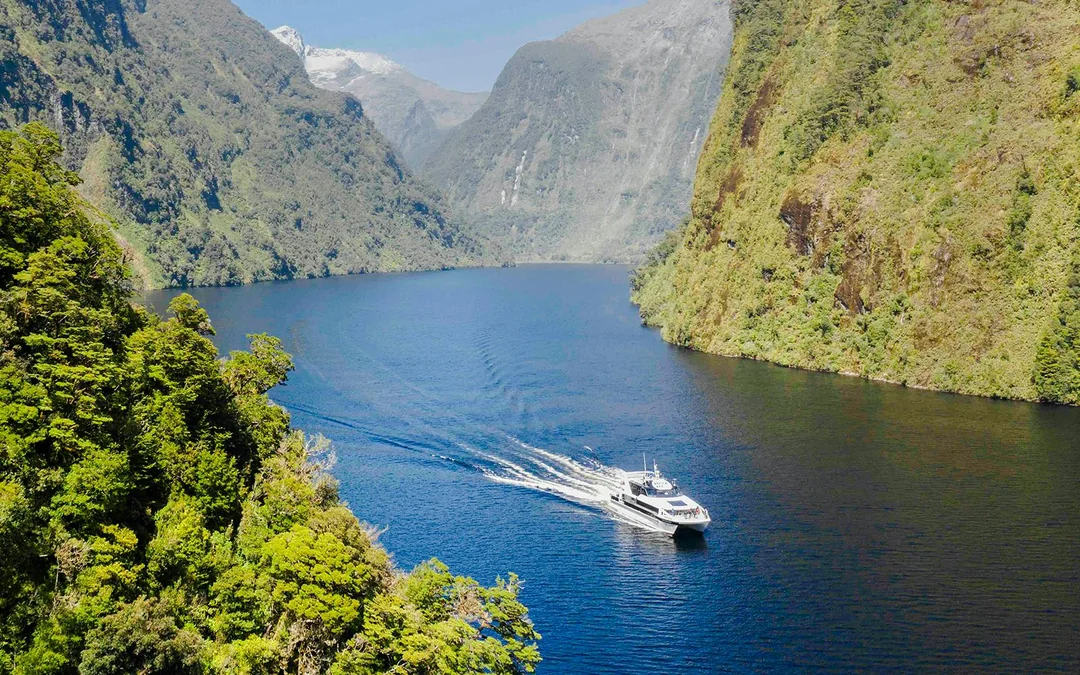 From Queenstown: Doubtful Sound Wilderness Cruise Image 1