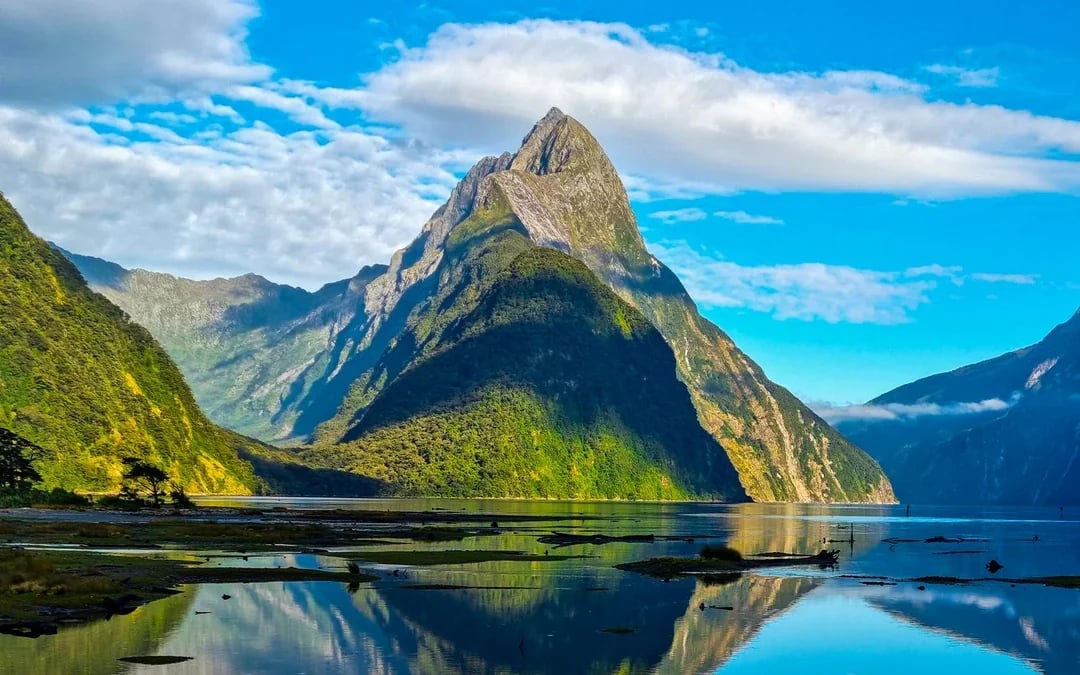 From Queenstown: Milford Sound Premium Small Group Tour with Cruise & Lunch Image 3