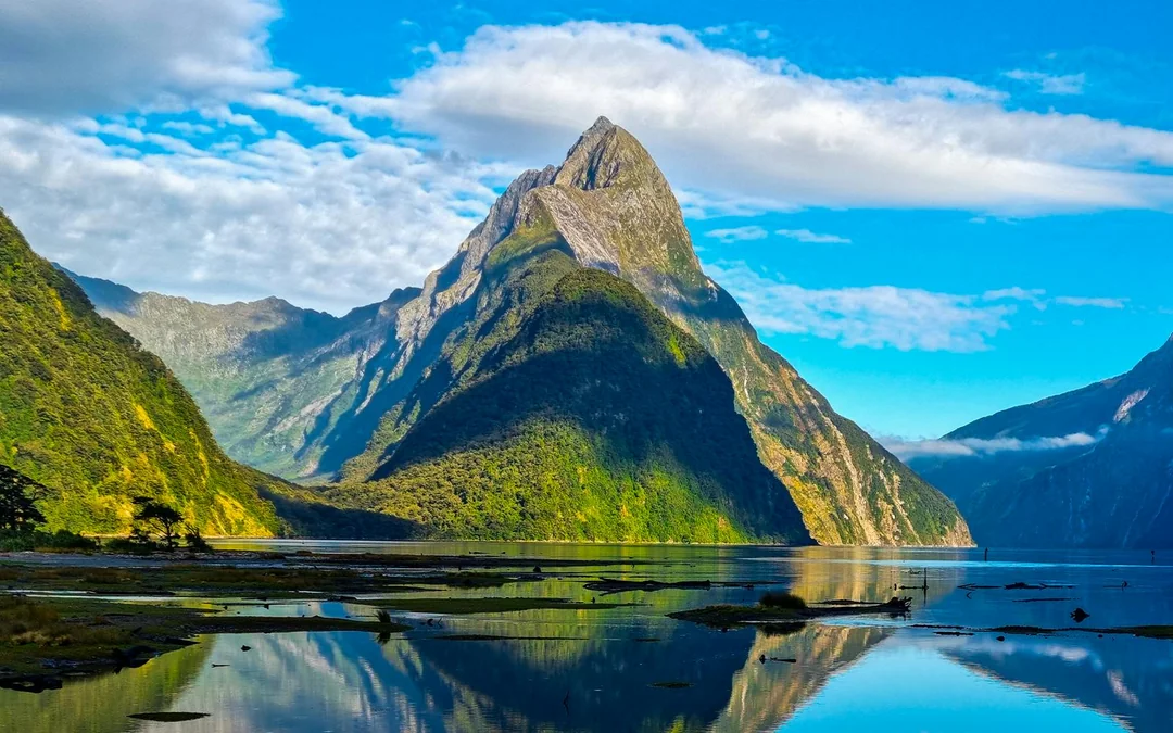 From Queenstown: Milford Sound Premium Small Group Tour with Cruise & Lunch Image 3