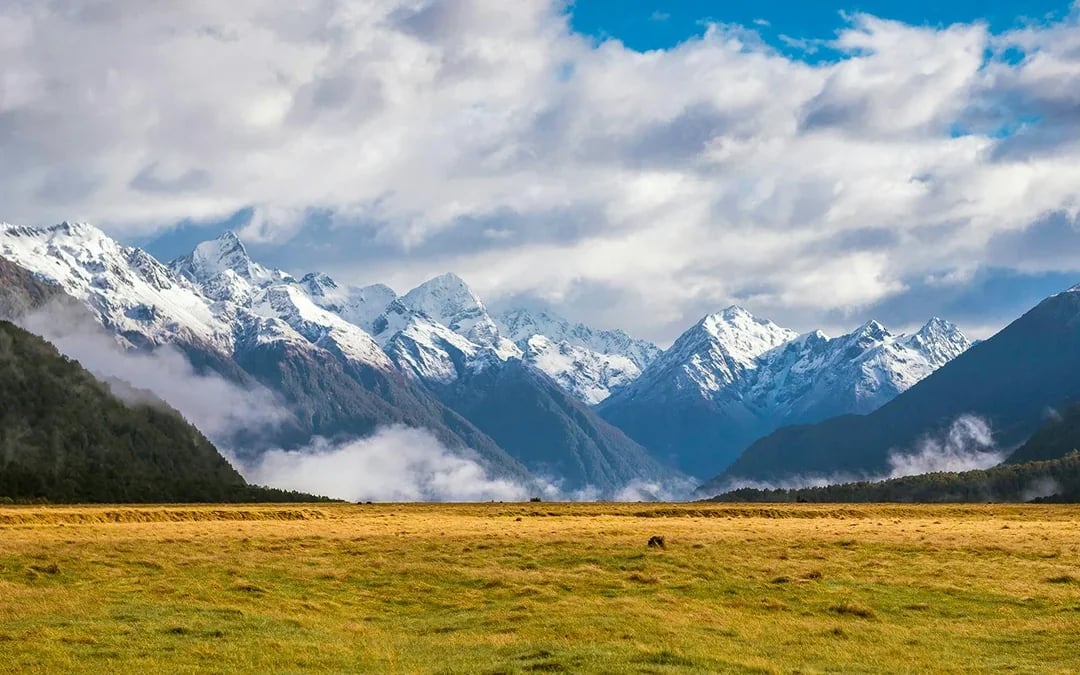 From Queenstown: Milford Sound Premium Small Group Tour with Cruise & Lunch Image 7