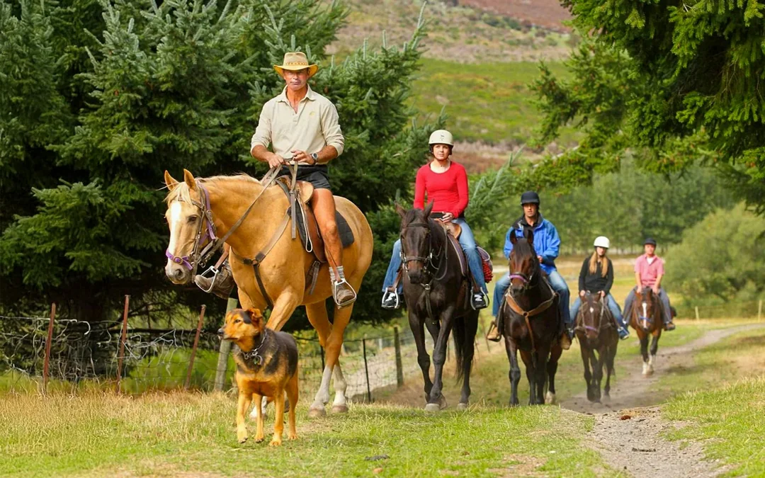 From Queenstown: TSS Earnslaw Cruise with Walter Peak Horse Trekking Image 1