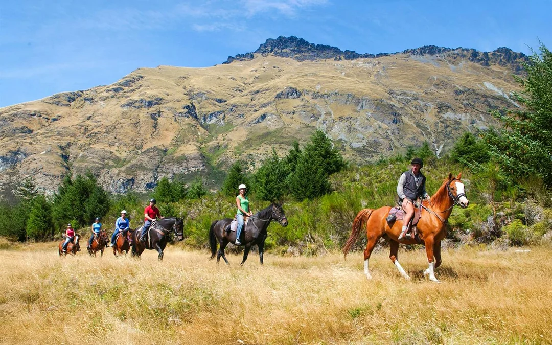 From Queenstown: TSS Earnslaw Cruise with Walter Peak Horse Trekking Image 5