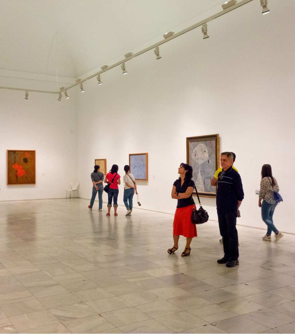 Reina Sofía Museum Skip the Line Ticket in Madrid | Spain